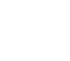 Global Lynk Logo White